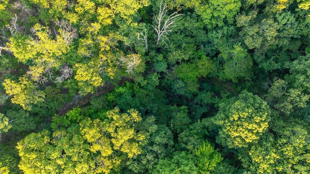 aerial view with a view of trees