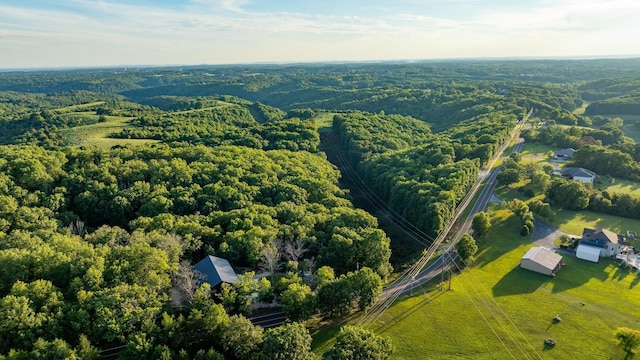 bird's eye view with a wooded view