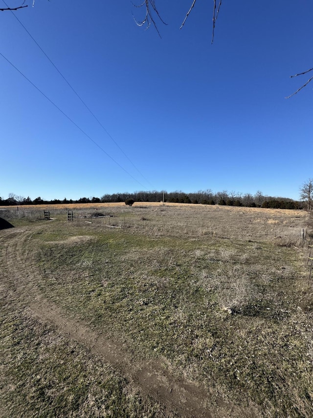 view of yard with a rural view