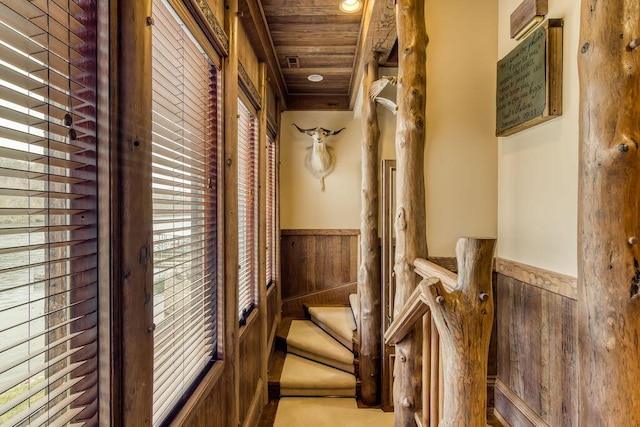 corridor featuring wood ceiling, a wainscoted wall, and wood walls