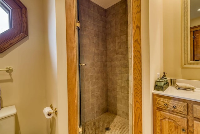 bathroom featuring a stall shower, vanity, and toilet