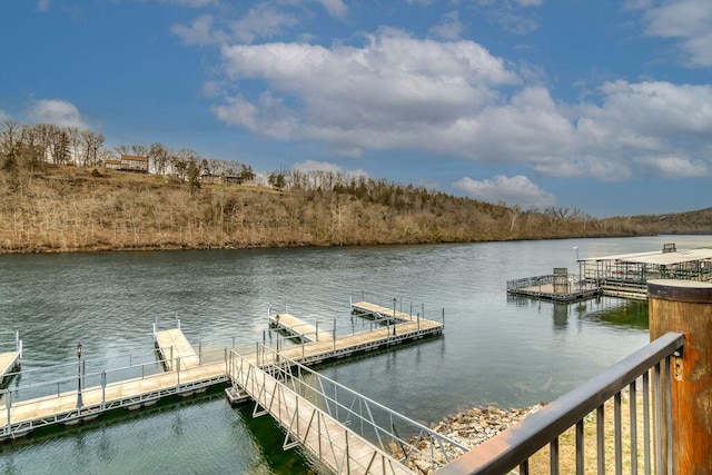 dock area with a water view