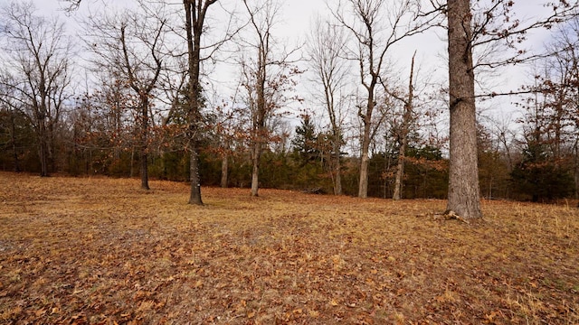 LOT18 Oakridge Dr, Gepp AR, 72538 land for sale