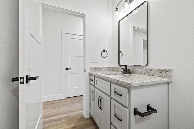 bathroom featuring wood finished floors and vanity