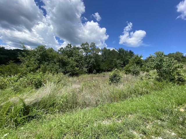 Listing photo 2 for LOT43 Hummingbird Hills Ln, Branson MO 65616