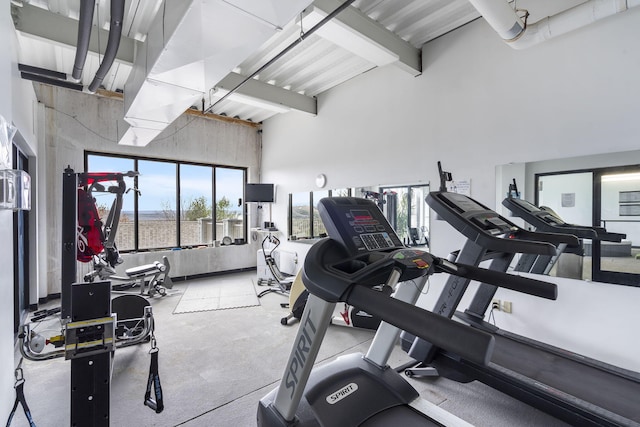 exercise room with a high ceiling