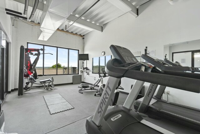 exercise room featuring a towering ceiling