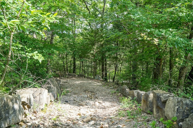 view of local wilderness with a wooded view