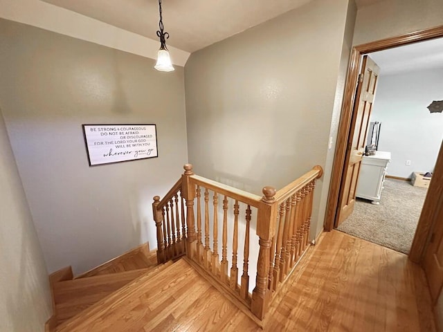 staircase featuring wood finished floors