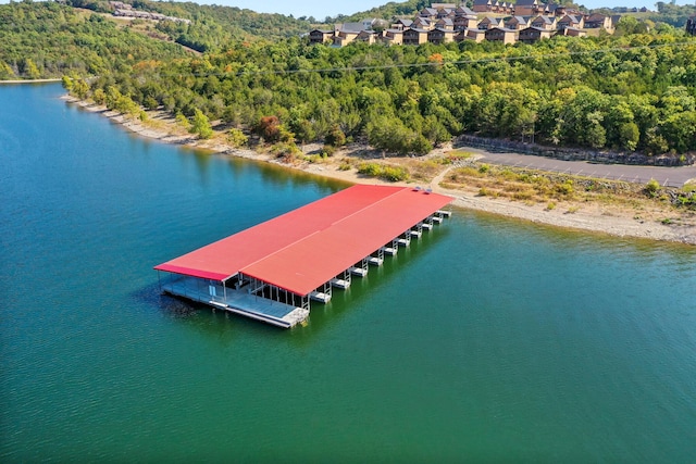 birds eye view of property featuring a water view and a forest view