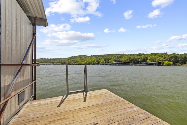46 Beech Dr Unit 35, Reeds Spring, MO 65737 - photo 51