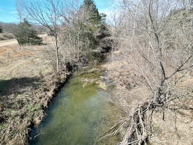 view of local wilderness