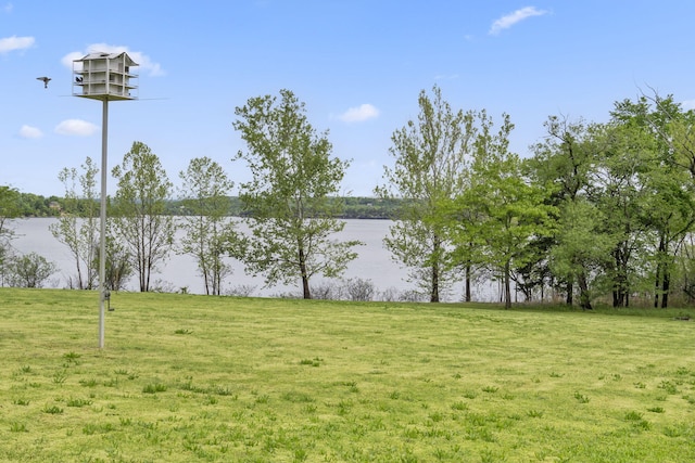 LOT19 Edwards Dr, Shell Knob, MO 65747 - water view