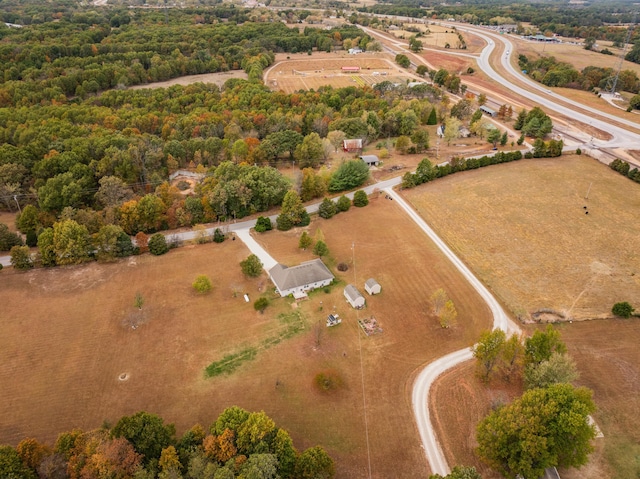 bird's eye view