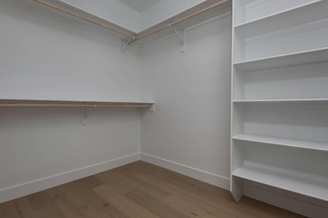 walk in closet featuring wood finished floors