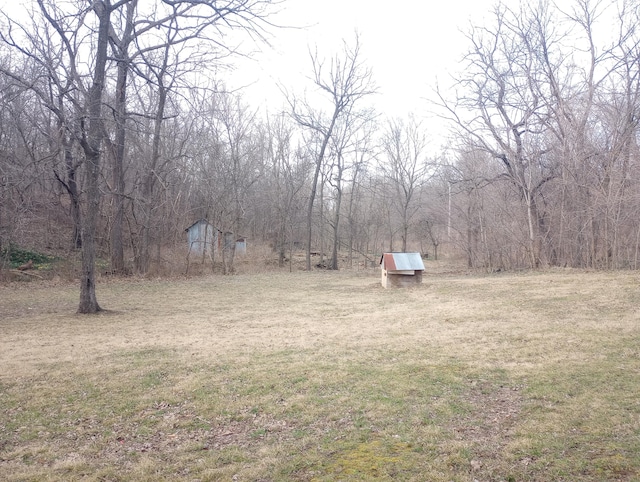 view of yard featuring an outdoor structure