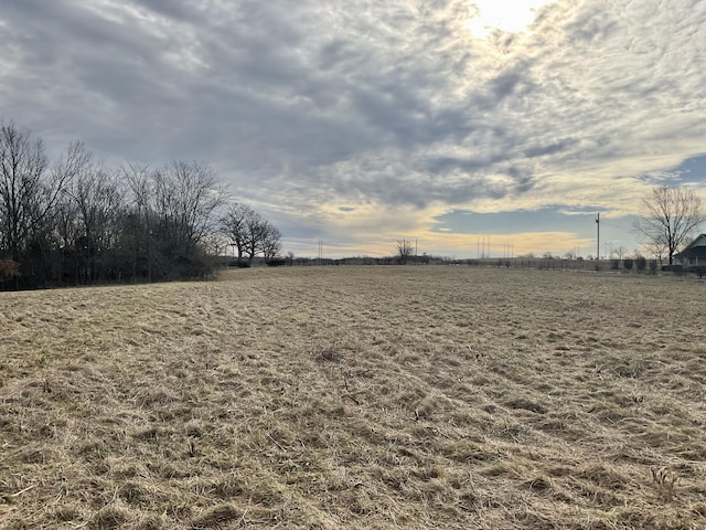 Listing photo 2 for TBD W State Highway U, Walnut Grove MO 65770