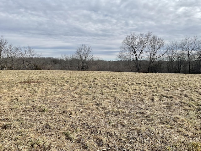 Listing photo 3 for TBD W State Highway U, Walnut Grove MO 65770