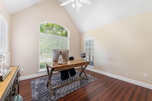 office area with dark wood-style flooring, plenty of natural light, and baseboards