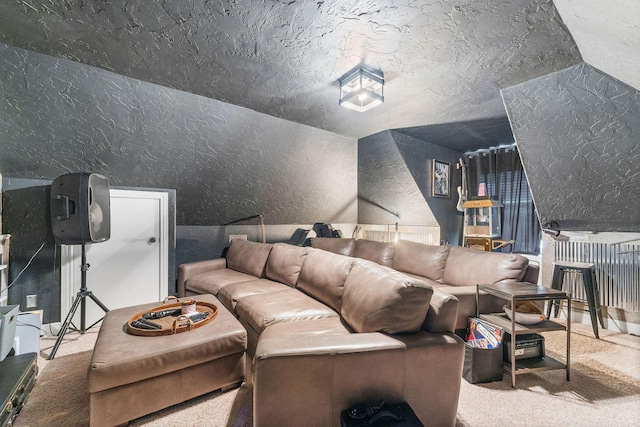 carpeted home theater room with a textured wall