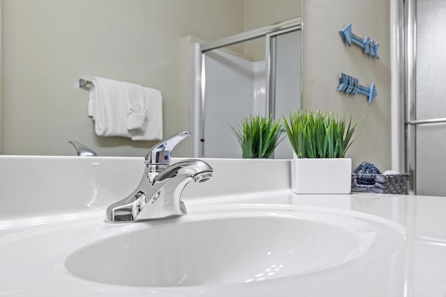 interior details featuring a sink and a shower stall