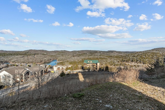 property view of mountains