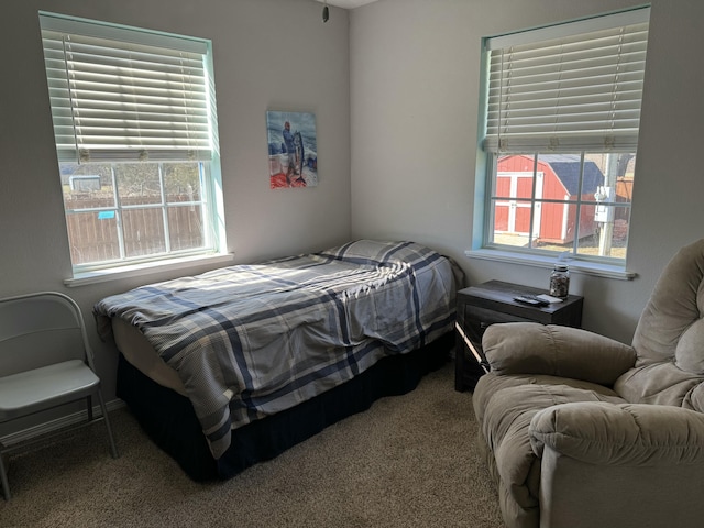 bedroom with carpet flooring