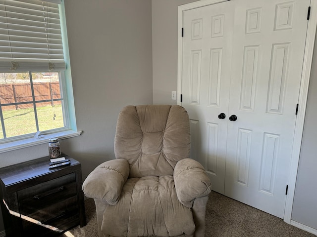 sitting room with carpet