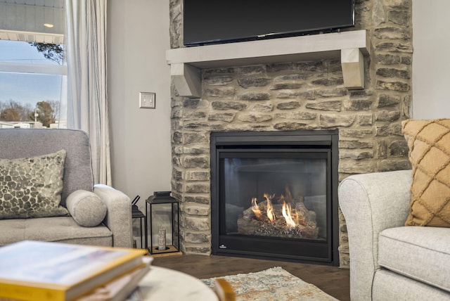 details featuring a fireplace and wood finished floors