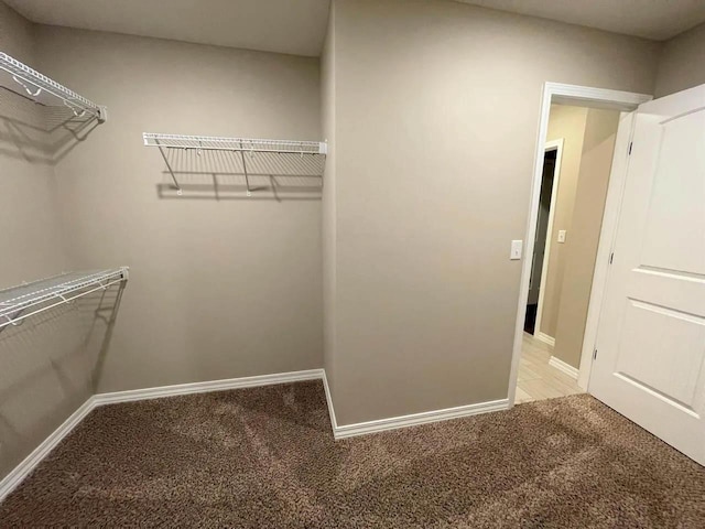 walk in closet featuring carpet floors