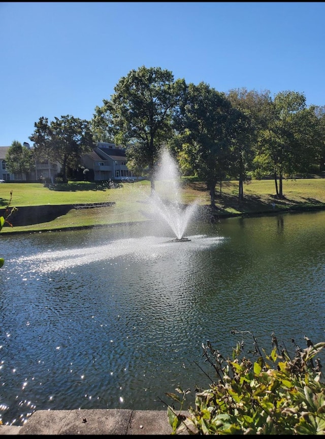 109 Lancashire Dr, Branson, MO 65616 - water view