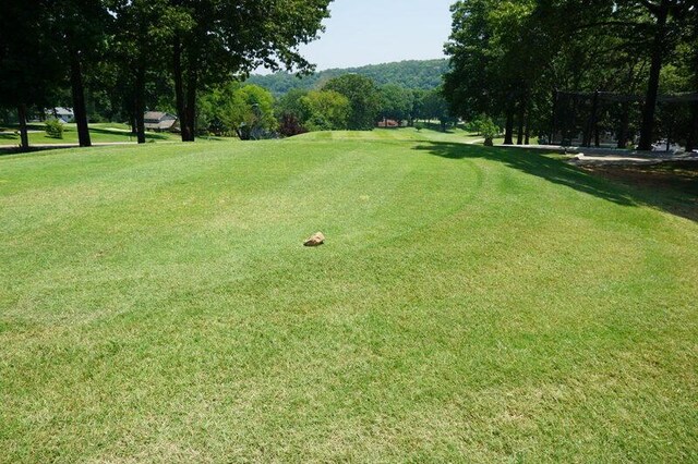 view of property's community featuring a yard