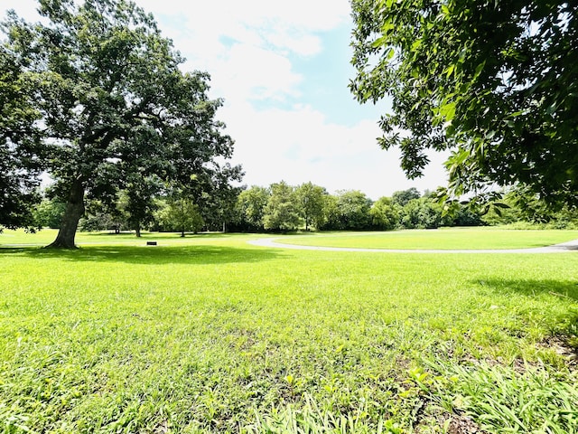 view of community with a lawn