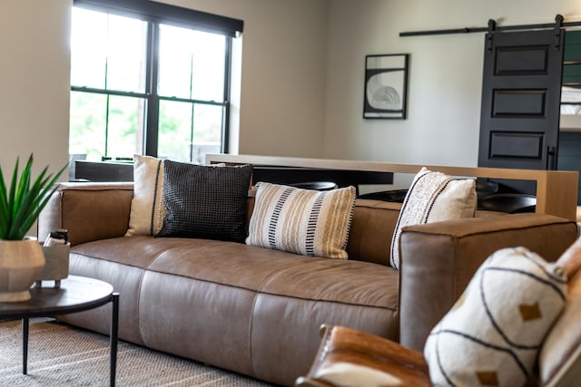 living area featuring plenty of natural light and a barn door