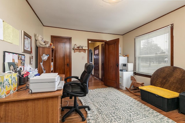 office featuring crown molding and wood finished floors