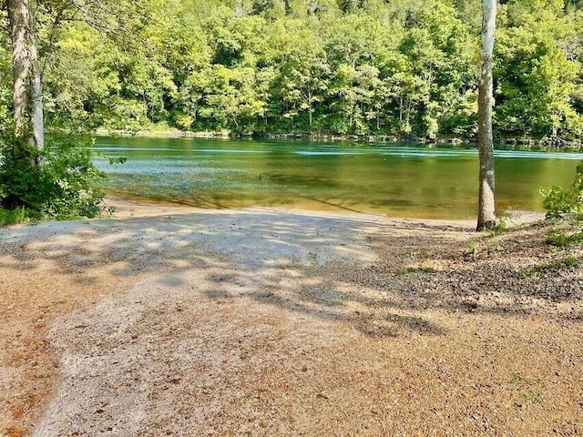 water view with a view of trees