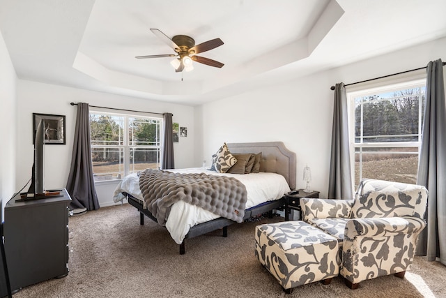 carpeted bedroom featuring a raised ceiling and a ceiling fan