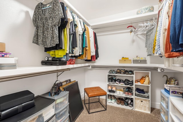 4427 E Kentbrook Dr, Springfield, MO 65802 - spacious closet featuring carpet floors