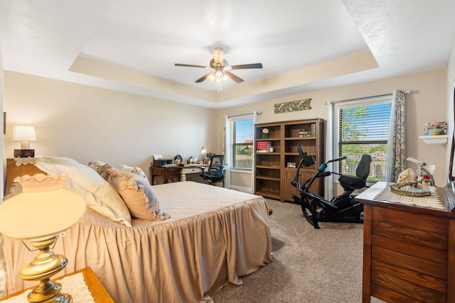 4427 E Kentbrook Dr, Springfield, MO 65802 - bedroom featuring a tray ceiling, light carpet, a desk, and multiple windows