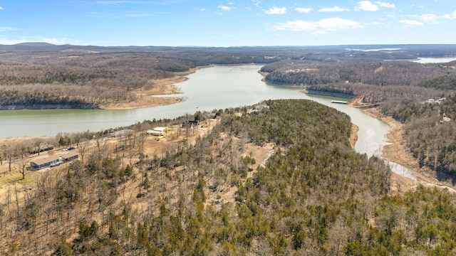 bird's eye view featuring a water view and a forest view