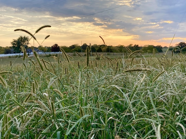 nature at dusk featuring a rural view