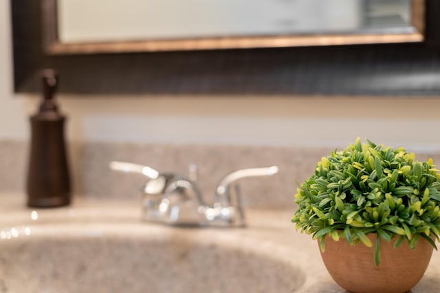 room details with a sink