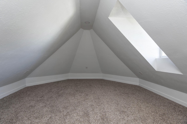 additional living space featuring carpet floors and lofted ceiling