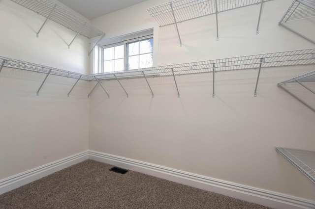 spacious closet featuring carpet floors and visible vents