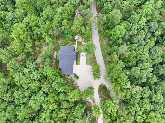 420 Nps Peavine, Van Buren, MO 63965 - aerial overview of property's location