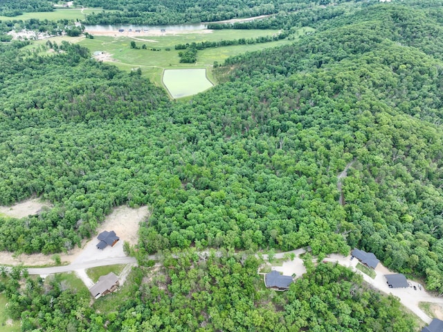 420 Nps Peavine, Van Buren, MO 63965 - aerial overview of property's location with a forest and a large body of water