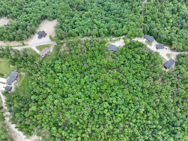 420 Nps Peavine, Van Buren, MO 63965 - aerial overview of property's location