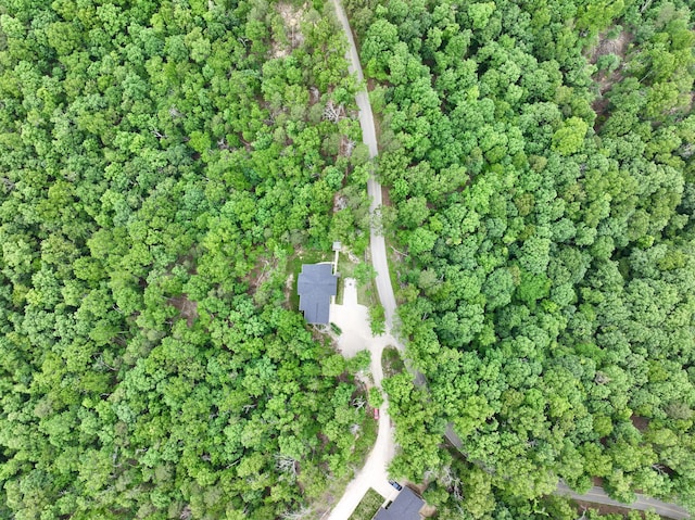 420 Nps Peavine, Van Buren, MO 63965 - aerial view of property and surrounding area