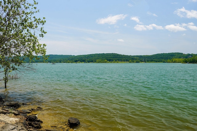 property view of water with a forest view