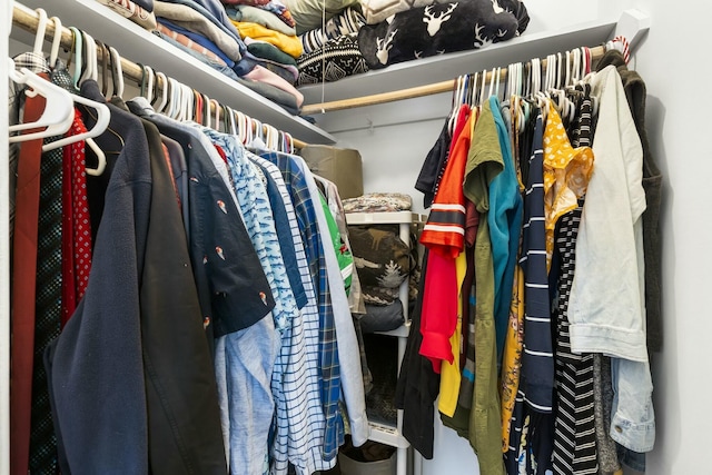 view of spacious closet